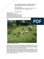 Artículo Control Biológico de la Garrapata Caso Hacienda El Tesoro.pdf