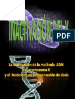 Inactivacion Del X