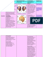 psicofisiologia_cuadro_yai (3).pdf