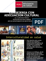 Consejeria Con Adecuacion Cultural