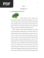 Download karya ilmiah brokolidocx by NovianaNurhikmat SN359472441 doc pdf