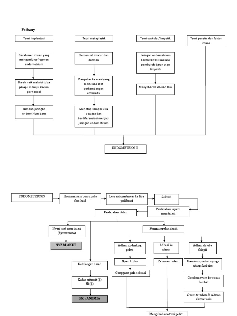 Pathway Endometriosis PDF