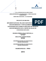 Plan de Mejora Serum Mayo 111docx PDF