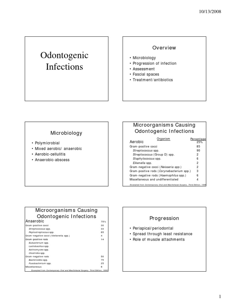 Odontogenic Infections for Seminar Gram Positive Bacteria Antibiotics