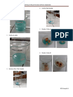 Lampiran Praktikum Difusi Osmosis 1. Metilen Blue Diaduk 4. Cuso Tak Diaduk