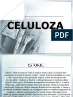 CELULOZA