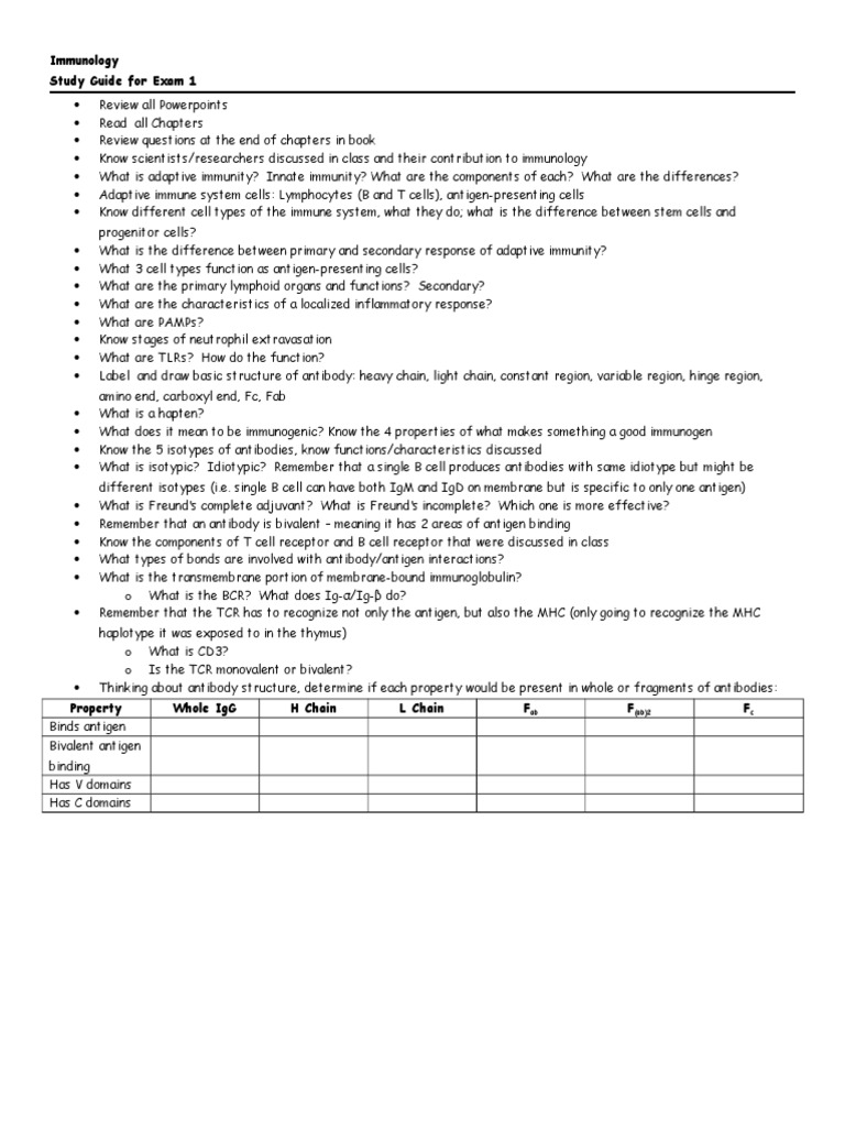Immunology Exam 1 Study Guide | PDF | Adaptive Immune System | Antibody