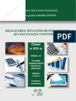 Realizarea Situatiilor Financiare