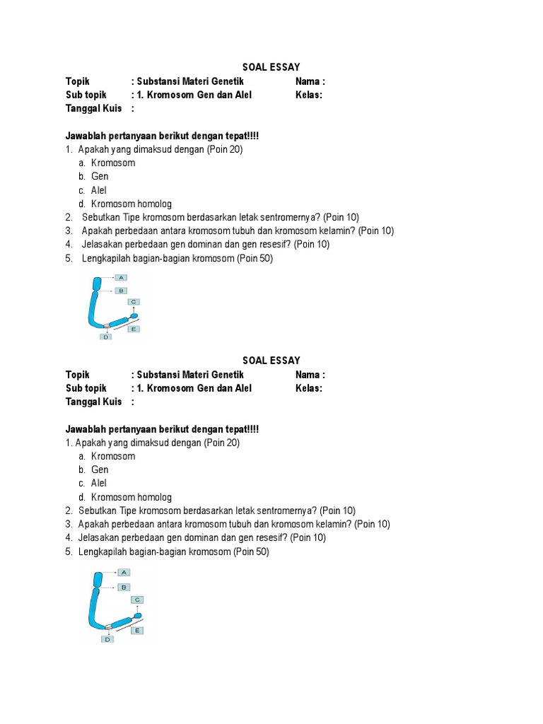 Soal Kuis Docx