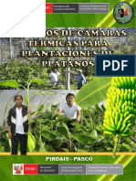 Folleto - Camaras Termicas para Plantaciones de Platanos