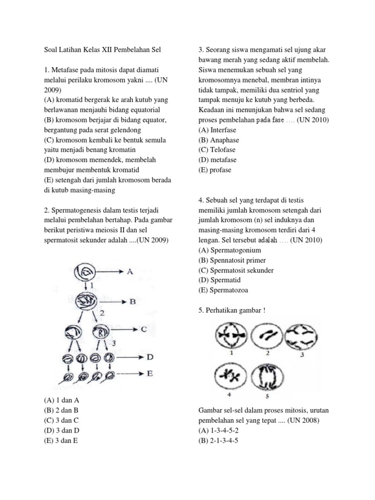 Contoh Soal Biologi Pembelahan Sel Guru Paud