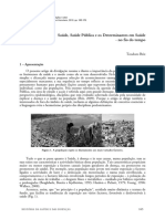 Saúde, Saúde Pública e Determinantes em Saúde - Teodoro Briz