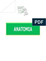 Slides Anatomia-1 PDF