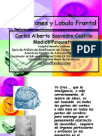 Adicion y Lobulo Frontal