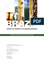 Brazil_How_to_Invest_F_.pdf
