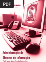 Administracao de Sistema de Informacao 2010