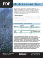 Common Spiders in and Around Homes: Characteristics