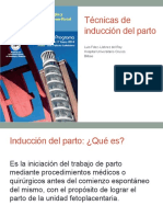 05 Tecnicas de induccion.pdf