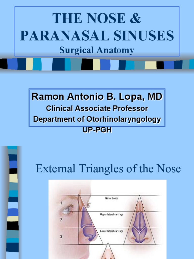 Anatomy and Physiology of The Nose and Paranasal Sinuses. Diagnosis and ...