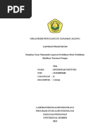 Download LAPORAN PRAKTIKUM PENGENDALIAN OPT JAGUNG by Mudhofar Mustofa SN359534009 doc pdf