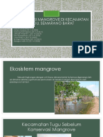 Konservasi Mangrove Di Kecamatan Tugu, Semarang Barat