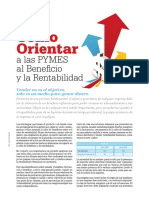 014 Como Orientar Pymes PDF