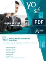 Ciclo de Vida de Las Industrias_estrategia