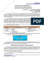 PGP Primeros Auxilios Psicol_gicos.pdfPGP Primeros Auxilios Psicológicos.pdf