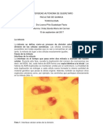 Tarea 3 Meiosis y Mitosis