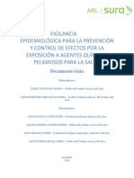 Guía PVE Agentes quimicos.pdf