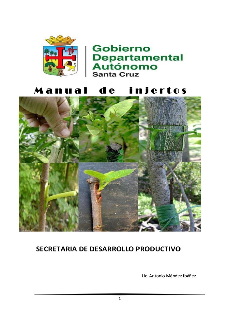 Injertos - Ctricos | PDF