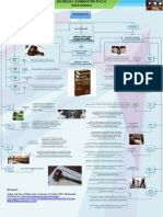 Mapa el divorcio administrativo y divorcio incausado.pdf