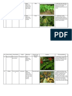 Tabel Gambar Daftar Spesies Tumbuhan Obat