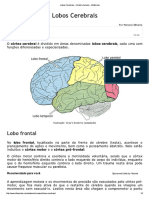 Lobos Cerebrais - Cérebro Humano - InfoEscola