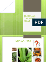 BUDIDAYA TANAMAN OBAT