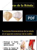 Fractura de Rótula