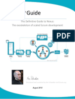 NexusGuide v1.1.pdf