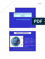 Vírus da Hepatite B (HBV): Características e Replicação