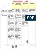 Niveles de Prevencion de La Rabia