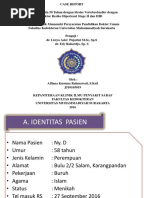 PPT SVB