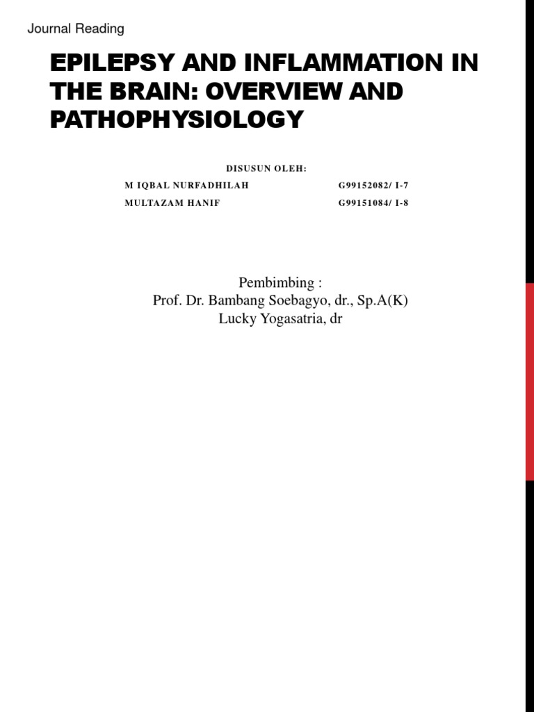 Epilepsy and Brain Inflammation Overview | PDF