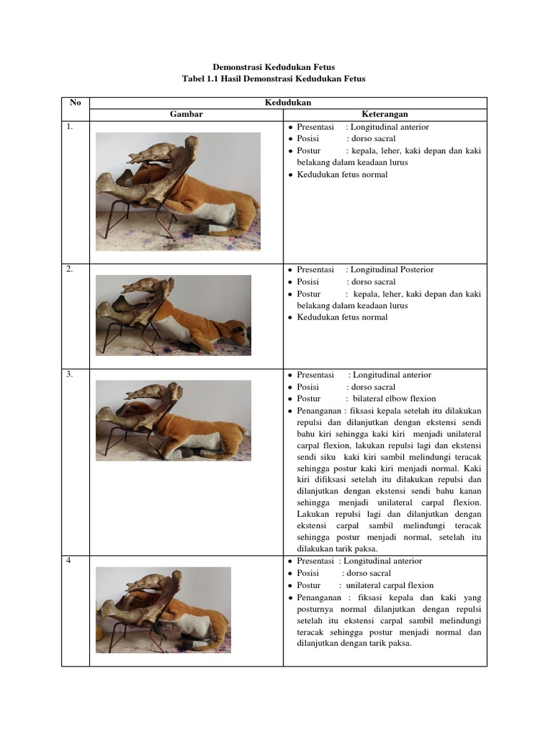 Penanganan Distokia Fetus Sapi | PDF | Kesehatan Holistik