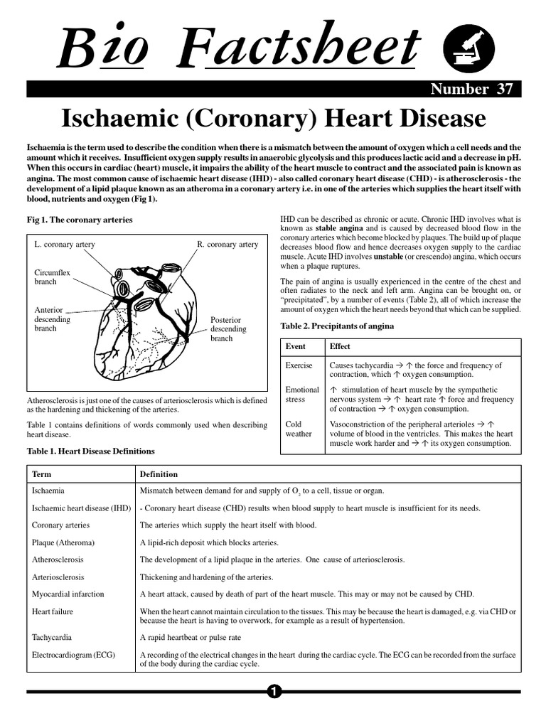 Understanding Ischaemic Heart Disease | PDF | Coronary Artery Disease ...