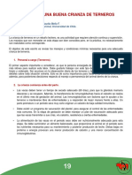 13 Claves Para Una Buena Crianza de Terneros