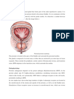 Modul Uro Cita