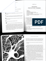 El Libro de Los Mapas Mentales - Buzan