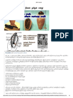 Agasthiar Science