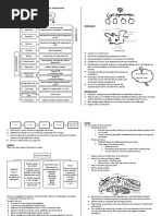 Short Notes Form 4 Biology Chapter 1 4 PDF