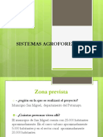 SISTEMAS AGROFORESTALES SUCESIONALES (SAFS).pptx