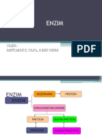 Enzim 2